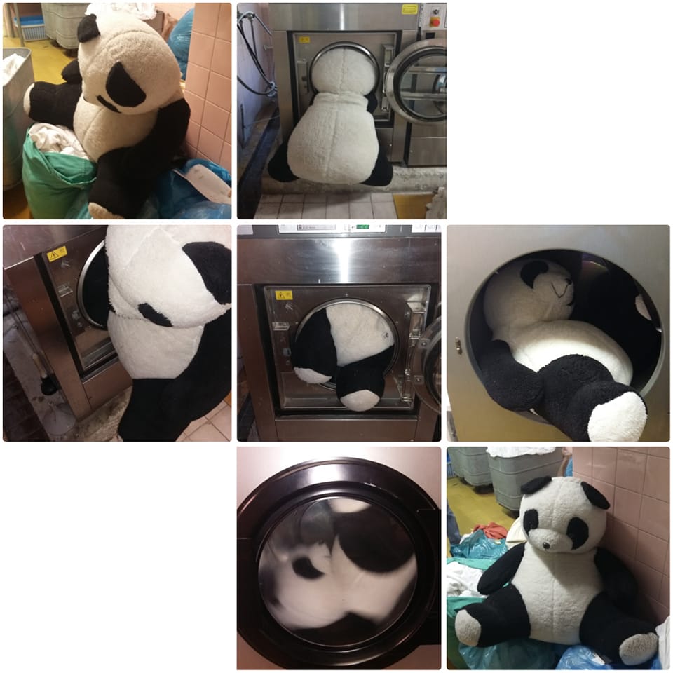 Panda v čistírně
